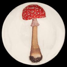 John Derian Medium Agaric Fausse Oronge Plate, set of 6 by Astier de Villatte, B2B view on black background
