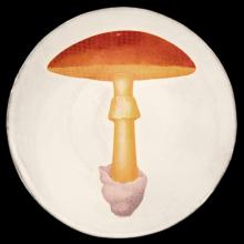 John Derian Medium Yellow Agaric Oronge Plate, set of 6 by Astier de Villatte, B2B view on black background