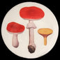 John Derian Red Mushrooms Dinner Plate, set of 6 by Astier de Villatte, B2B view on black background