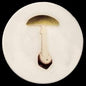 John Derian Agaric Bulbeux Dinner Plate, set of 6 by Astier de Villatte, B2B view on black background