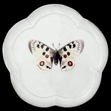 John Derian Apollo Butterfly Dinner Plate, set of 6 by Astier de Villatte, B2B view on black background