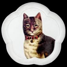John Derian Country Cat Dinner Plate, set of 6 by Astier de Villatte, B2B view on black background