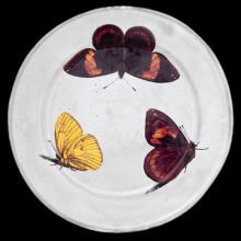 John Derian Medium Three Butterflies Plate, set of 6 by Astier de Villatte, B2B view on black background