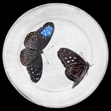 John Derian Medium Flying-Landed Butterfly Plate, set of 6 by Astier de Villatte, B2B view on black background