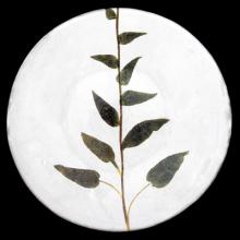 John Derian Medium Campanula Plate, set of 6 by Astier de Villatte, B2B view on black background