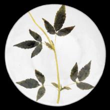 John Derian Medium Drachocephalum Plate, set of 6 by Astier de Villatte, B2B view on black background