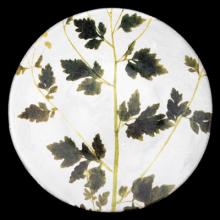 John Derian Medium Matricaria Plate, set of 6 by Astier de Villatte, B2B view on black background