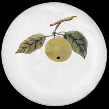 John Derian Medium Apple Plate, set of 6 by Astier de Villatte, B2B view on black background