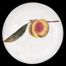 John Derian Medium Peach Plate, set of 6 by Astier de Villatte, B2B view on black background