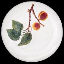 John Derian Medium Plum Plate, set of 6 by Astier de Villatte, B2B view on black background