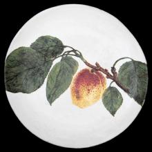 John Derian Medium Spotted Plum Plate, set of 6 by Astier de Villatte, B2B view on black background