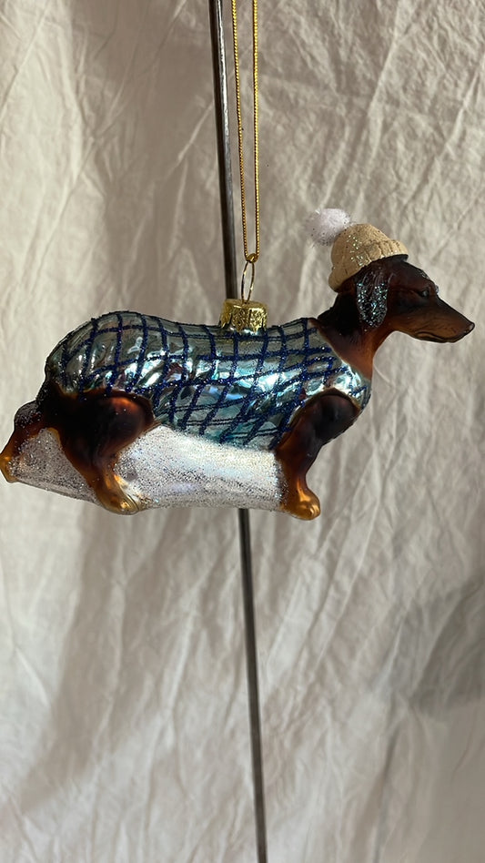 Bundled Up Dog - Dachshund