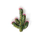Blooming Desert Cactus Brooch Pin | Trovelore