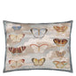 Butterfly Studies - Parchment Cushion | John Derian