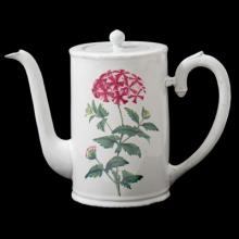 Red Star Phlox Coffee Pot, John Derian, handmade ceramic by Astier de Villatte