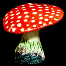 Mummy Mushroom: Nathalie Lété by Astier de Villatte, B2B product view
