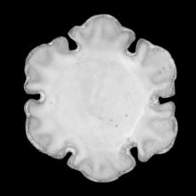 Small Chou Dish with Six Petals by Astier de Villatte, B2B product view