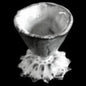 Emilie Egg Cup by Astier de Villatte, B2B product view