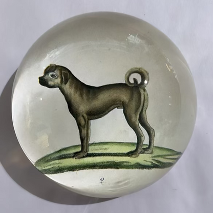 Pug Dog Standing | John Derian