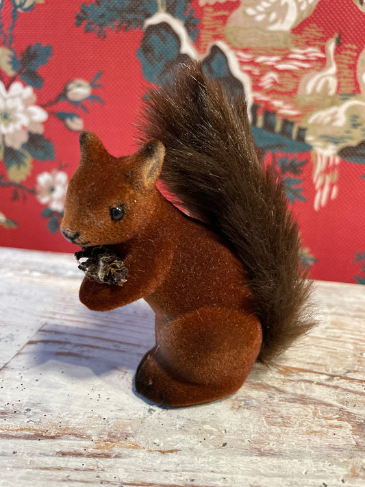 Squirrel With Furry Tail | Ino Schaller