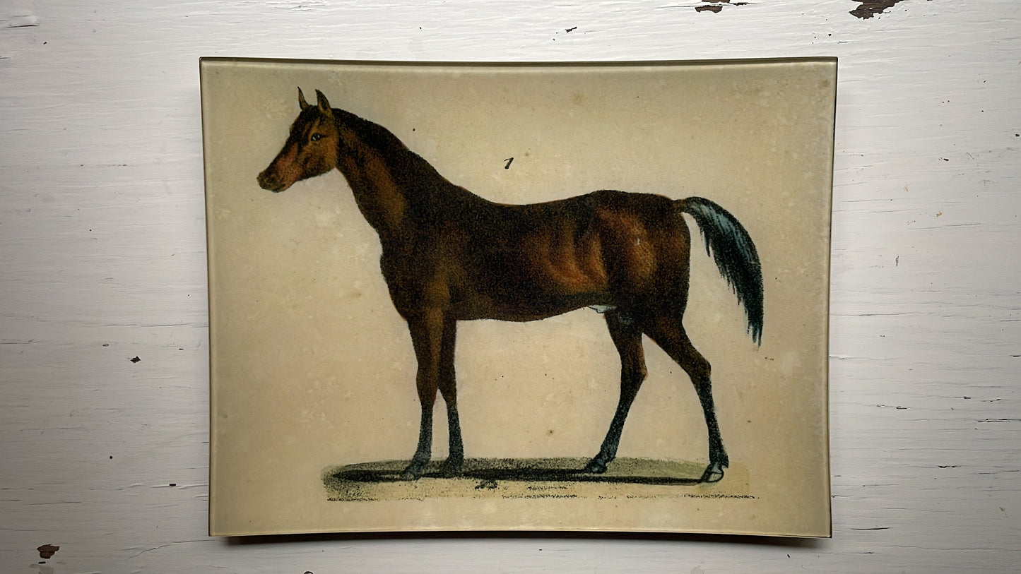 Horse  #1 | John Derian