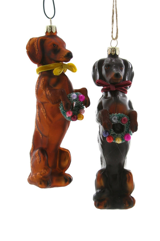 Festive Doxy - Brown Dachshund