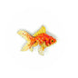 Fantail Goldfish Brooch Pin | Trovelore