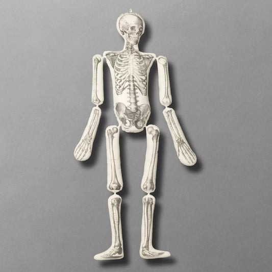 Articulated Skeleton Novelty Plush Pillow Cream - John Derian Company