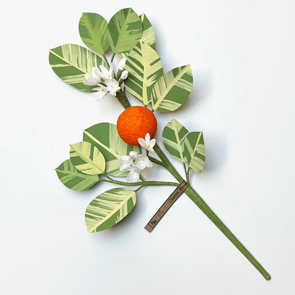 Citrus Branch | The Green Vase