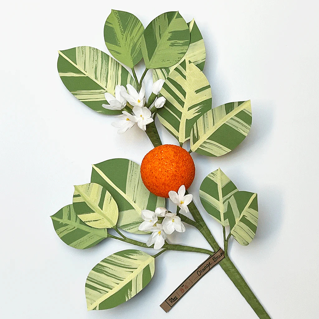 Citrus Branch | The Green Vase