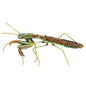 Green Mantis Brooch Pin | Trovelore