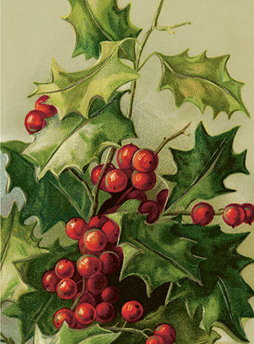 Hollyberry Small Folded Card with Envelope | Skona Ting