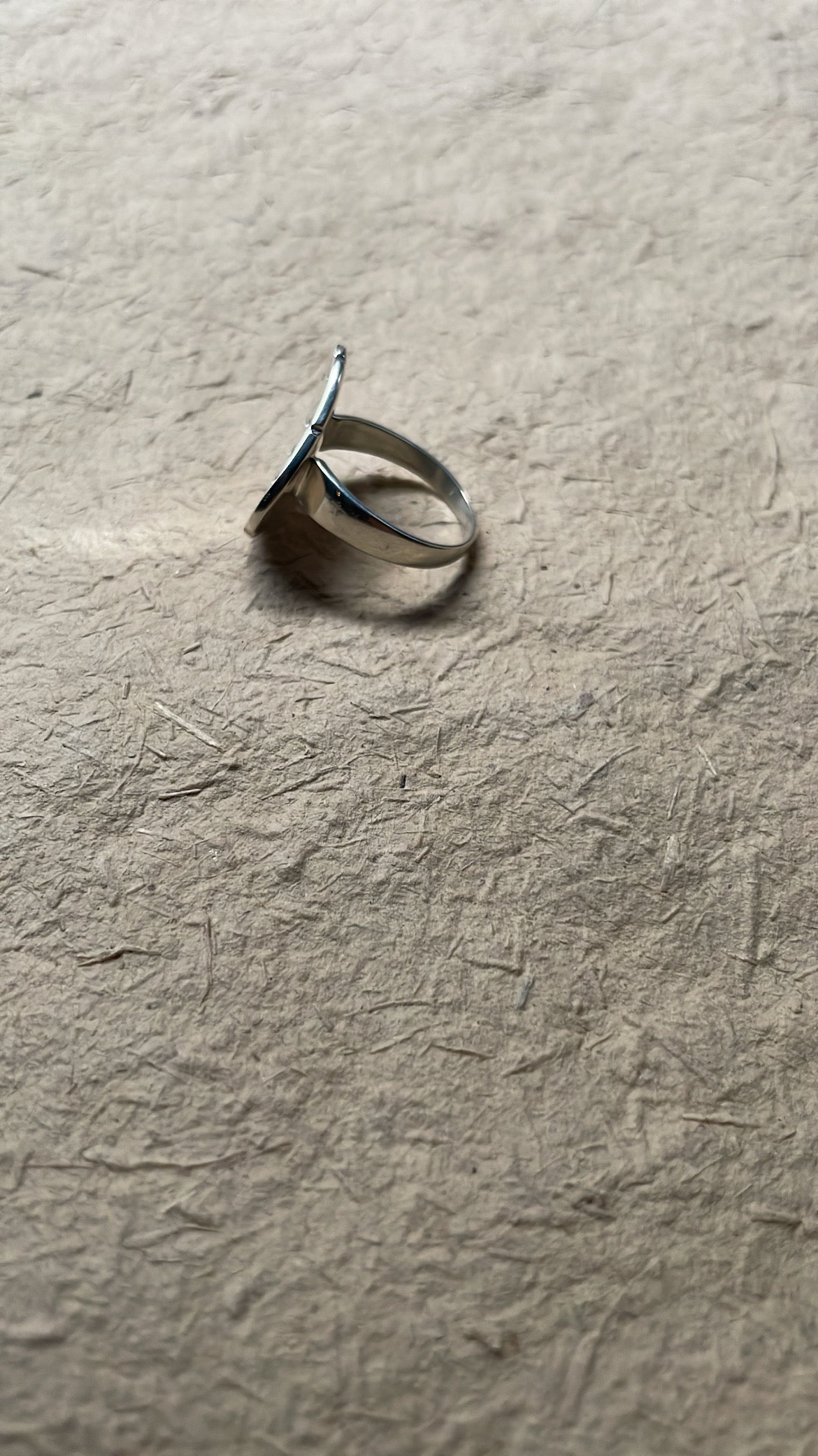 THE MERMAID SUITE | Mikkel Brøgger