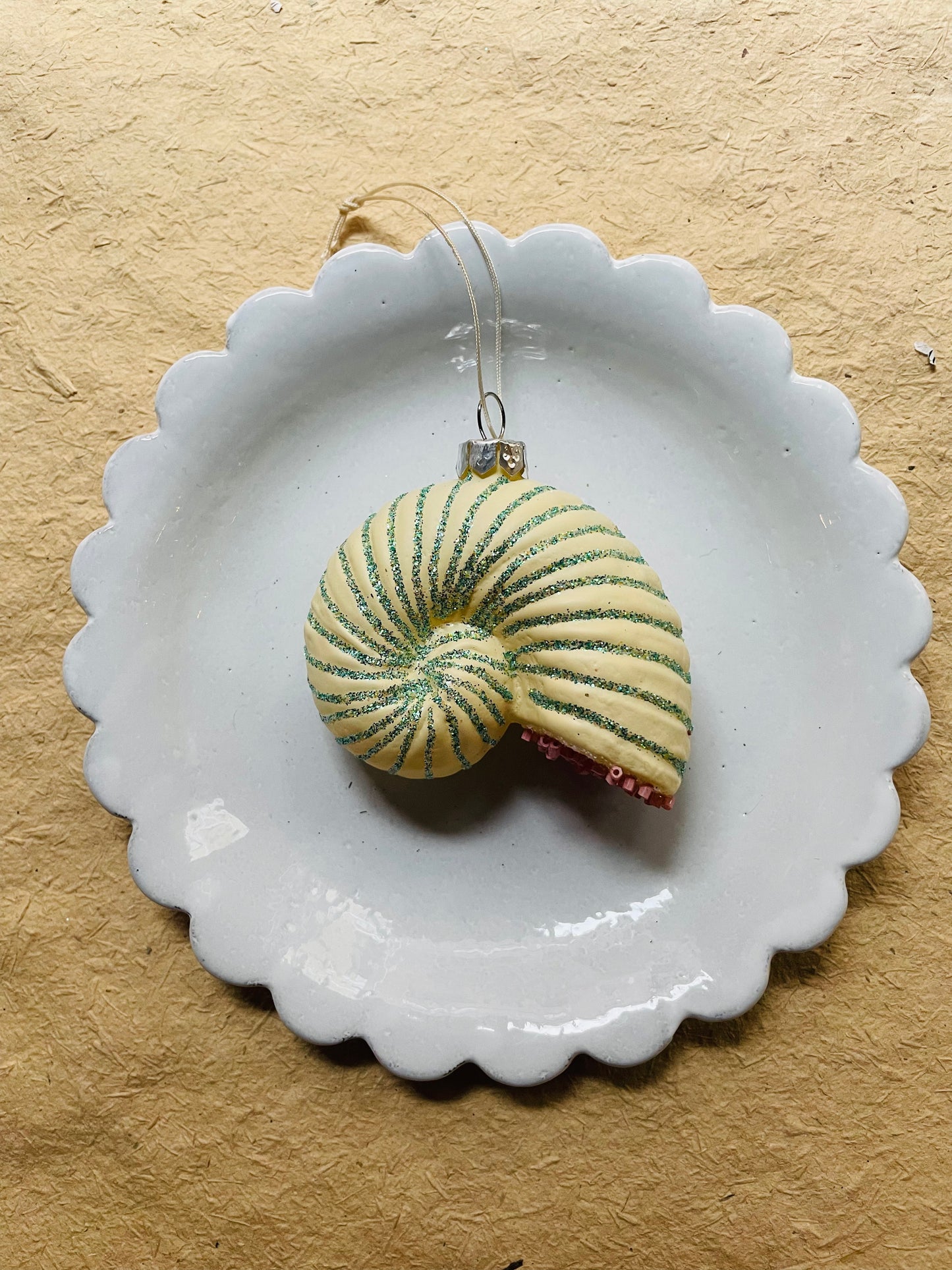 Beachcomber Glass Shell Ornaments – Set of 8 Styles