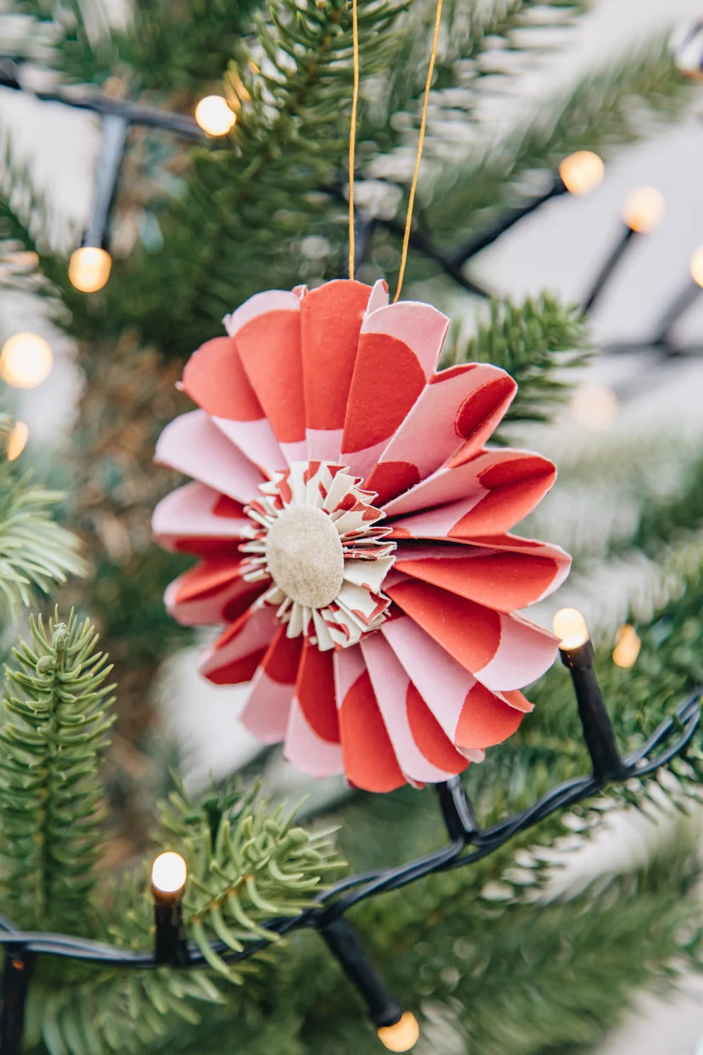 Pralines Christmas Ornament 3-Pack | Christmas Ornament