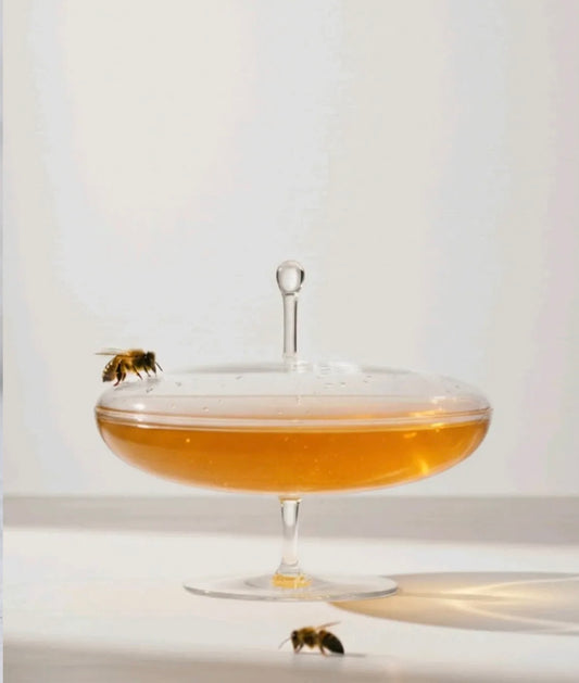 Candy Dish Flat | Lobmeyr Crystal