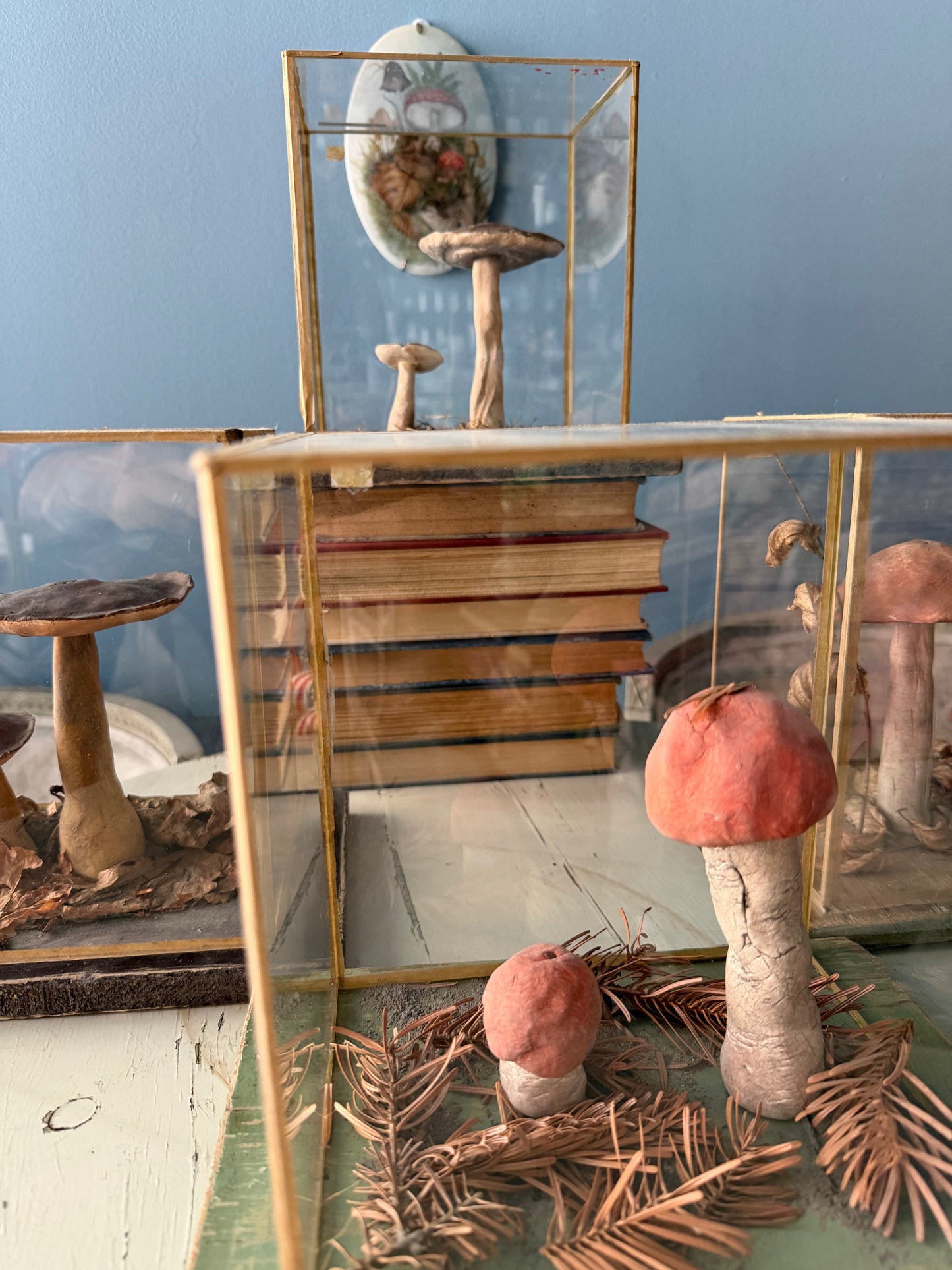 Bohemian Natural History Diorama I: Woodland Mushroom Study