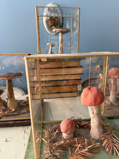 Bohemian Natural History Diorama I: Woodland Mushroom Study