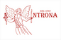 Pistachio & Coffee Cake - Cake Slice - Wax Cake | Cereria Introna