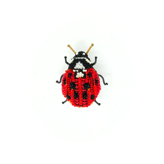 Lady Bird Beetle Brooch Pin | Trovelore