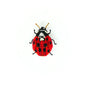 Lady Bird Beetle Brooch Pin | Trovelore