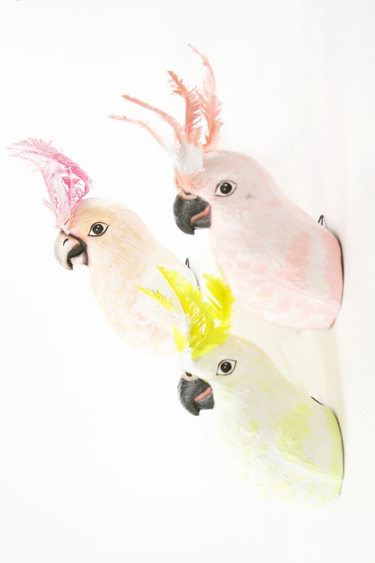 Carved Parrot Plaques