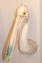 Australian Pelican Mount: Exclusive Pre-Order