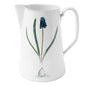 Muscari Pitcher, John Derian | Astier de Villatte: Exclusive Pre-Order Item