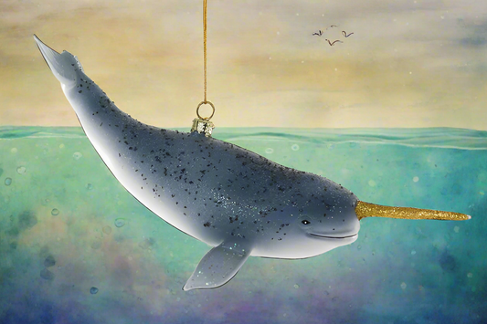 North Sea Narwhal