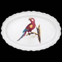 Parrot Max Platter by Astier de Villatte