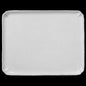 Marcel Rectangle Platter | Astier de Villatte: Exclusive Pre-Order Item
