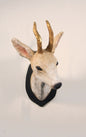 Roe Deer Mount #2: Exclusive Pre-Order