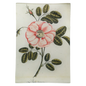 Painted Rose - La Rose | John Derian