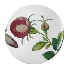 John Derian Small Sweet Rose Plate, set of 6 by Astier de Villatte, B2B view on black background
